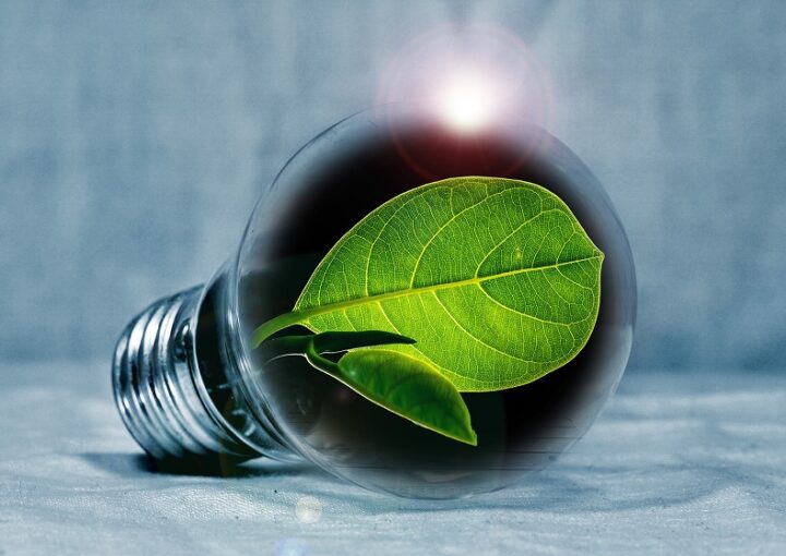 Valorisation des cendres issues de la biomasse