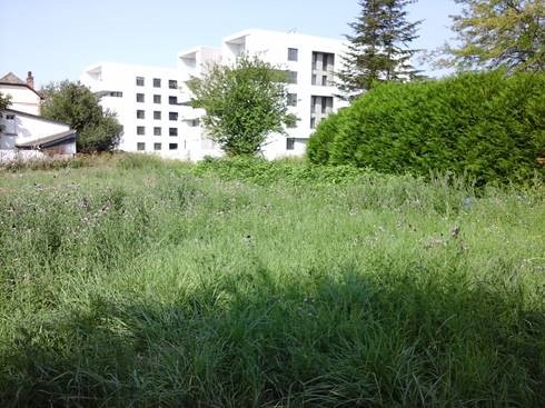 zones humides et aménagement