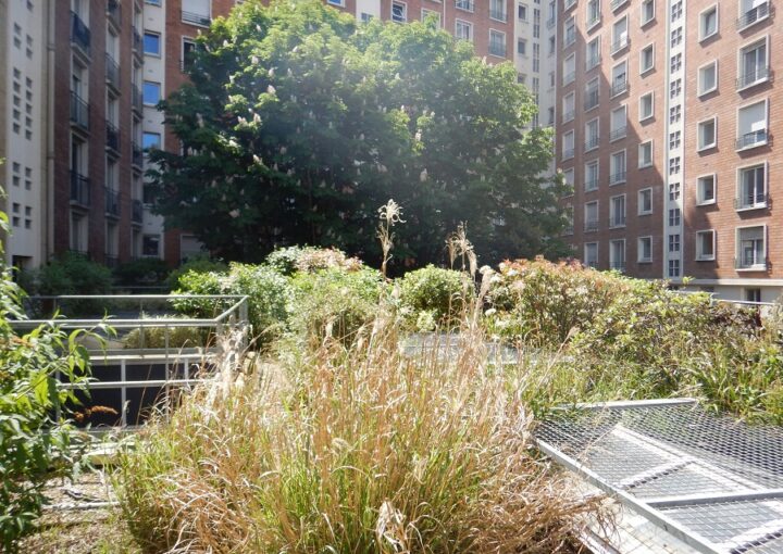 Nature en ville - toiture végétalisée