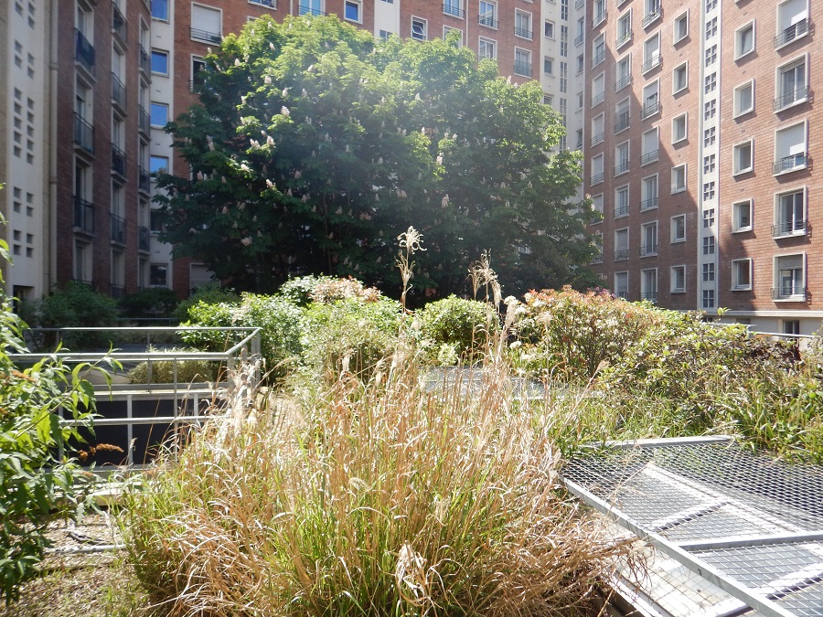 Nature en ville - toiture végétalisée