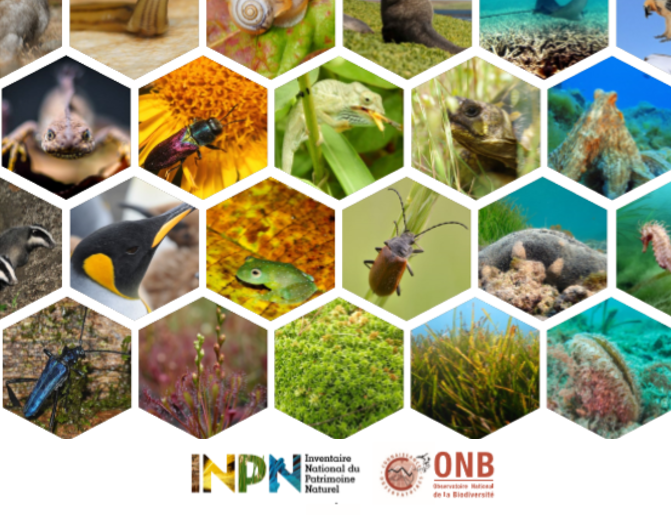 100 chiffres biodiversité